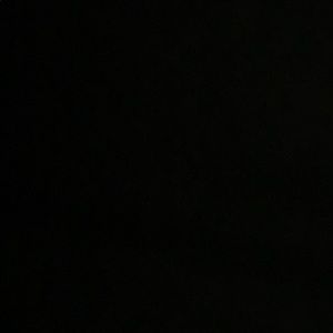 Meet your Posher, Shane